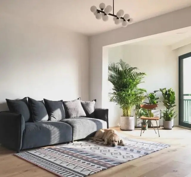 陽臺要不要裝推拉門?客廳和陽臺裝門與不裝門的優(yōu)缺點 陽臺要不要裝推拉門?客廳和陽臺裝門與不裝門的優(yōu)缺點